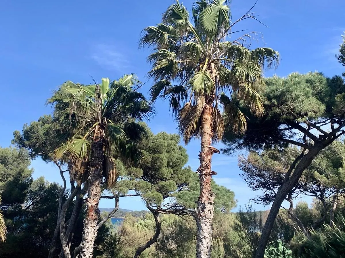 Bergerie Plage Renove Clim Balneo Plage Piscine Jardin Mediterraneen Hyères 0*,
